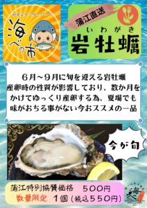 キャンペーンコース